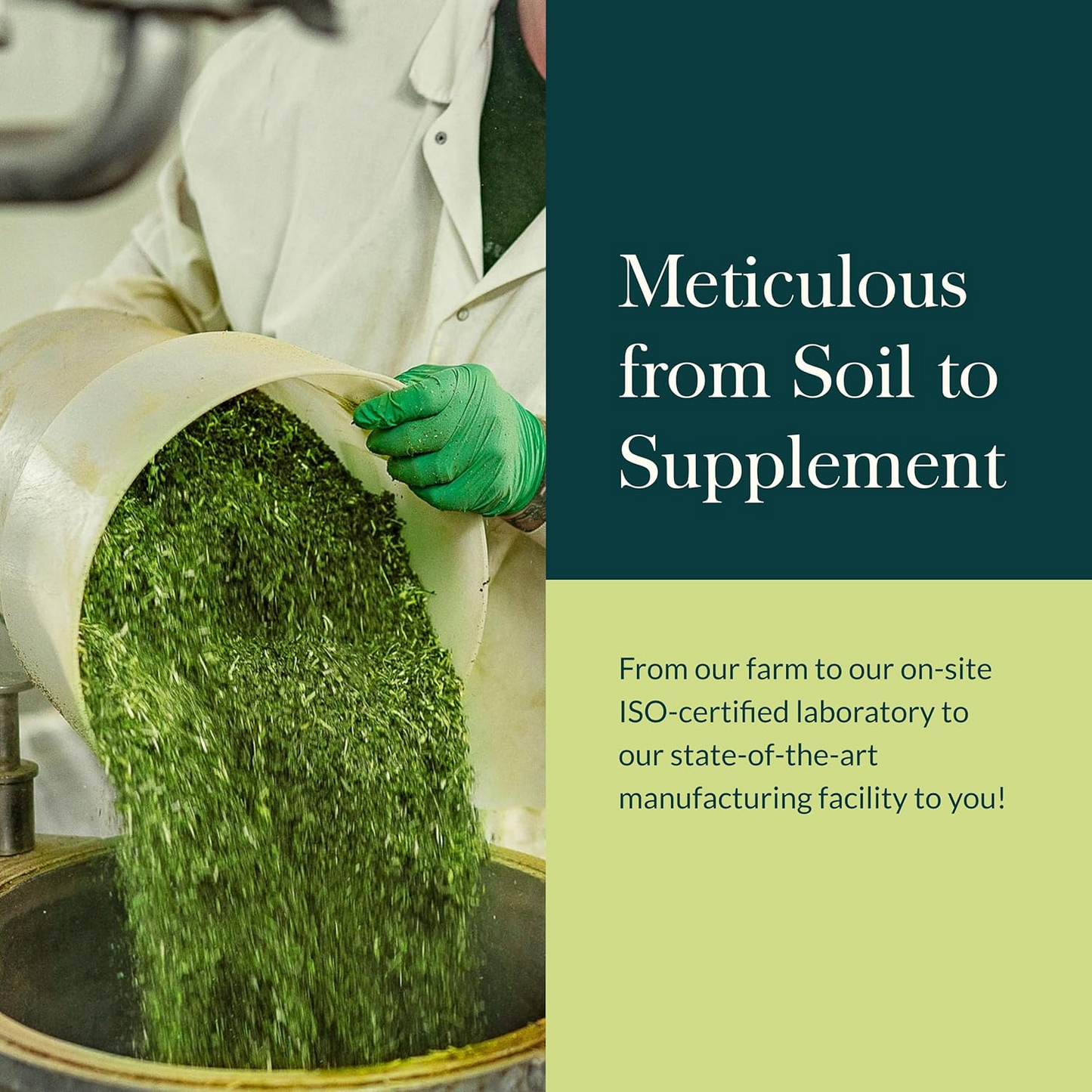 Turmeric Supreme® Extra Strength